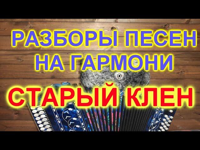 РАЗБОРЫ ПОД ГАРМОНЬ! СТАРЫЙ КЛЕН!