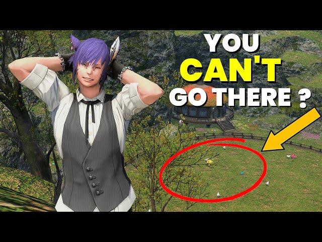 SquareEnix keeps removing this amazing feature from the game :( | FFXIV