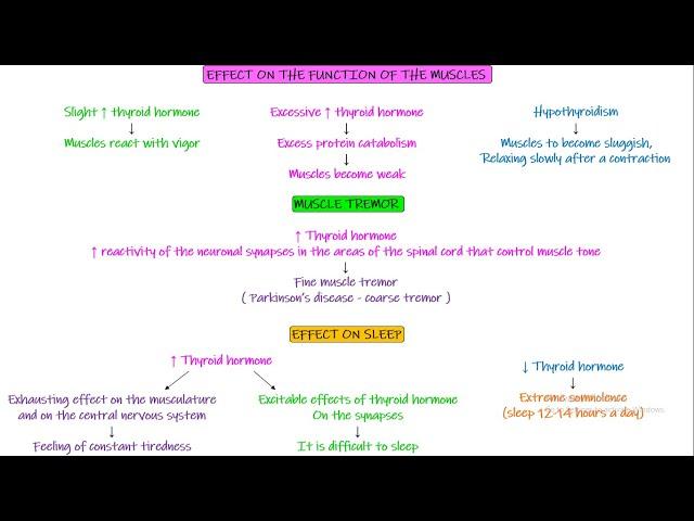 Effect of thyroid hormone on sleep, hormones, sexual functions, tone Chapter 77 part 7 Guyton & Hall