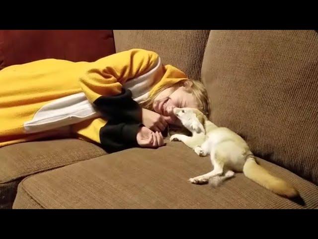 Fennec Fox & Her Favorite Human 