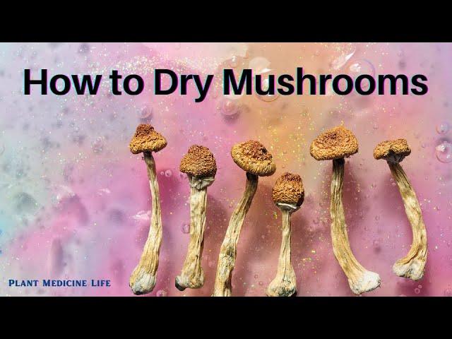 How to Dry Mushrooms