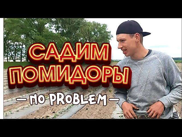 Как посадить 1 ГЕКТАР помидора за 17 ЧАСОВ???легко и просто!!!