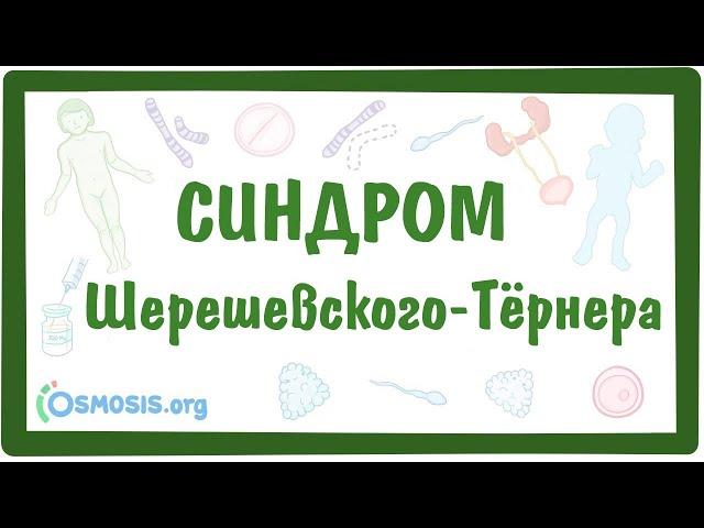 Синдром Шерешевского-Тёрнера — [моносомия X-хромосомы XО] — причины, симптомы, даигностика, лечение