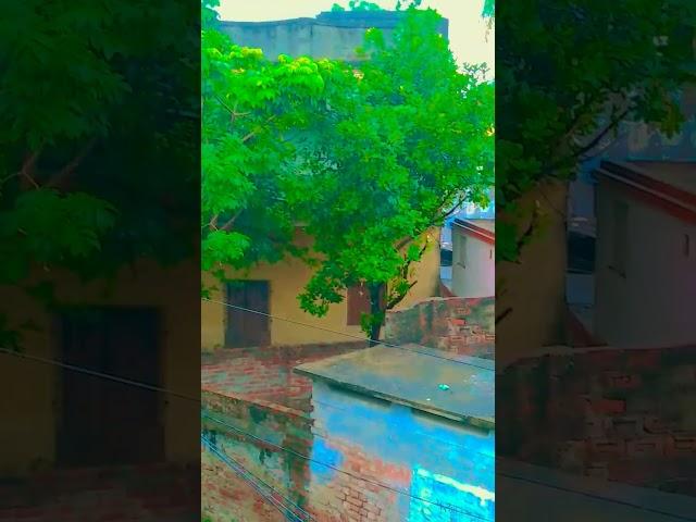ram,jhim aa saban #jubinnautiyal #music #tseries #bolleywoodsong #newsong
