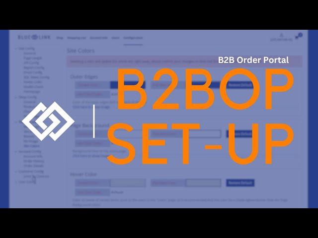 How to Set-up the B2B Order Portal (B2BOP) with Blue Link