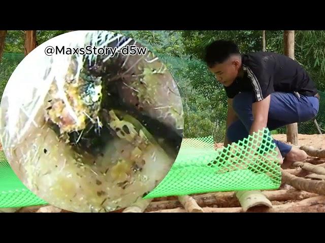 Terrible Cleaning Dry, Deep, Infected Ear Wax! | EP 15