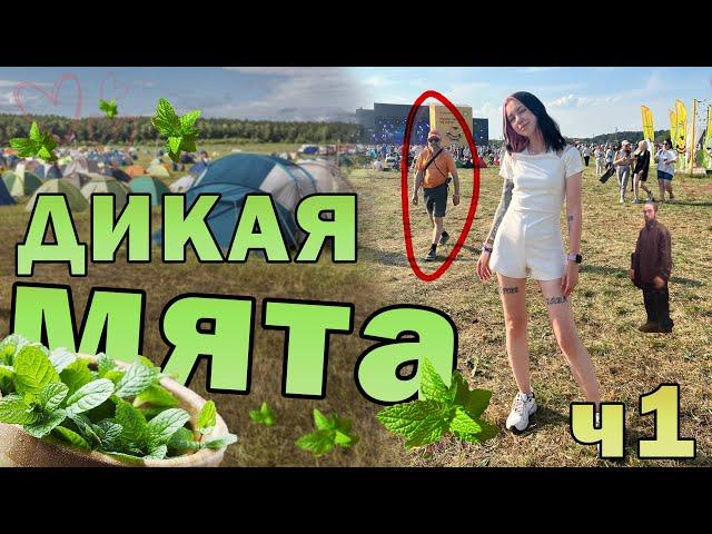 ДИКАЯ МЯТА 2023 / VLOG ч1