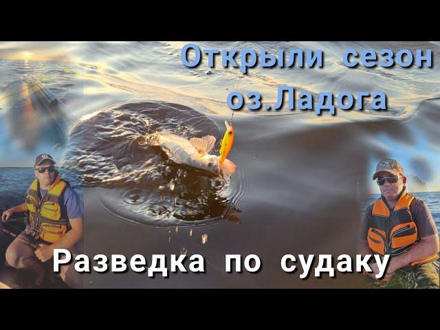 УДАЧНАЯ РАЗВЕДКА ПО СУДАКУ. оз. ЛАДОГА. СУДАК. ЩУКА.