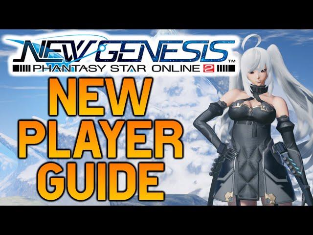 [PSO2: NGS] Beginner's Guide For New Players