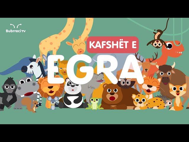  Kafshët e Egra për Fëmijë  Këngë Shqip për Fëmijë  Bubrreci TV #kafshët #kengeperfemije