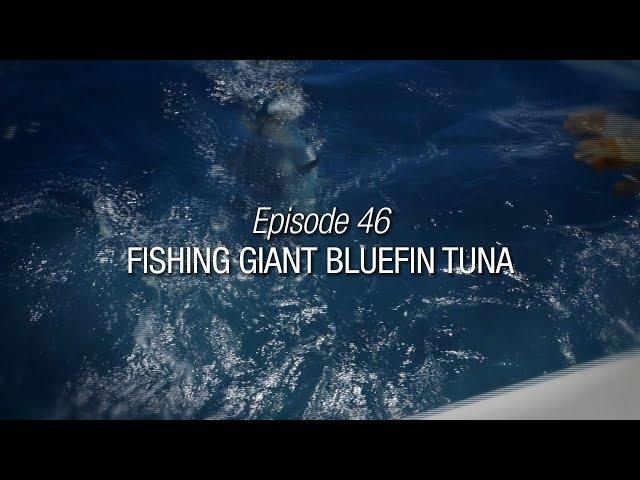 Winded Voyage 3 | Episode 46 | Fishing Giant Bluefin Tuna