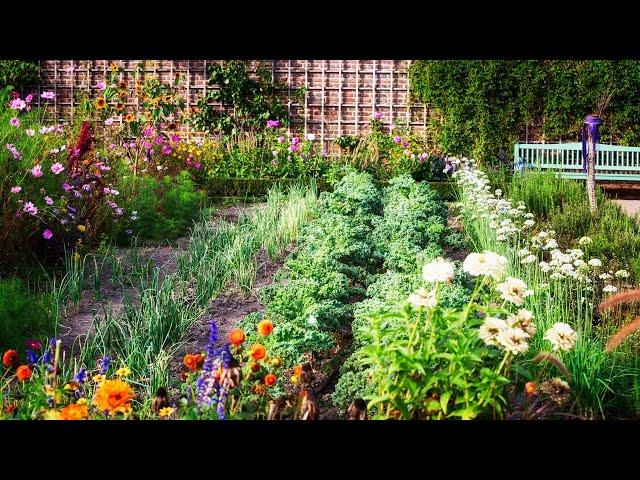 Planning a Vegetable Garden for Beginners: The 5 Golden Rules 