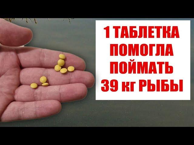 These fishing pills make you peck all the fish in 5 minutes