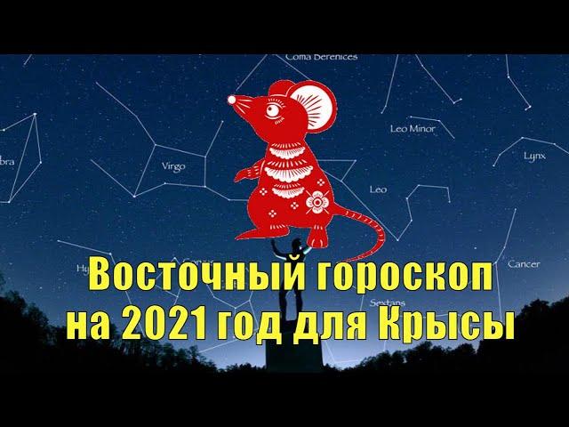 Восточный гороскоп на 2021 год для Крысы.