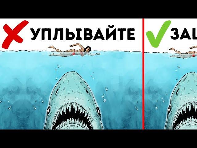 10 Способов Пережить Нападение Дикого Зверя