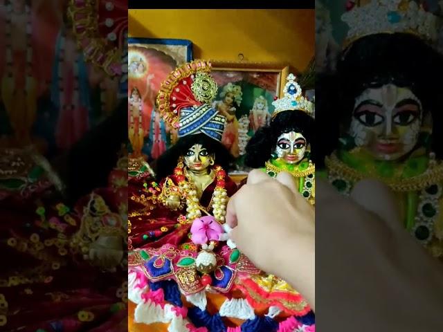 #goplu #sona #laddu #gopal #shorts #video #gopalseva #ytshorts #viral