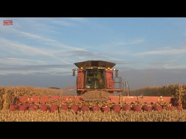 3,000 Acre Corn Field Harvested by CASE IH 9250 Combines