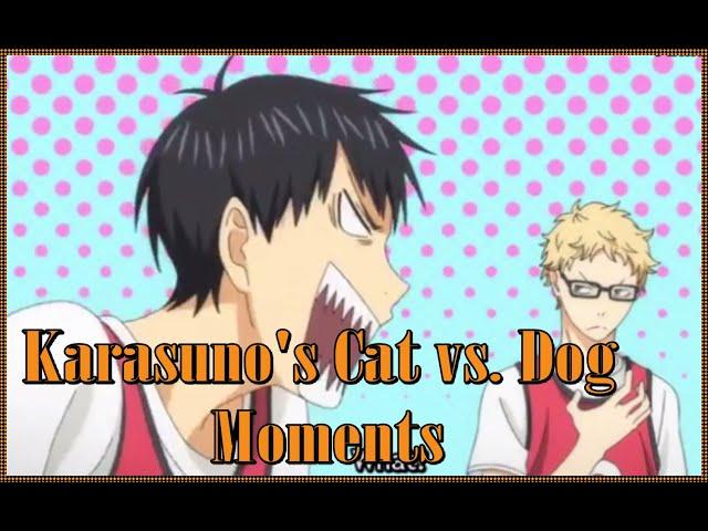 Haikyuu!! Kageyama Tobio and Kei Tsukishima Moments [ The Cat vs Dog of Karasuno VBC]