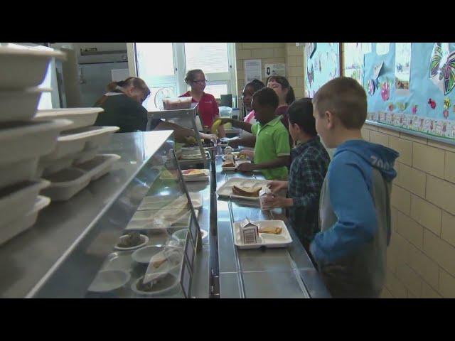 Dixon mother, Trinity Cares looks to pay lunch debt of all public schools in the district