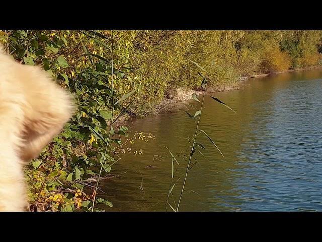 Ein wunderschöner Herbsttag am See 