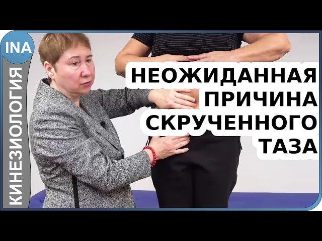 Дисфункция таза. Слабые мышцы таза. В чем причина? Прикладная кинезиолгия. Л.Ф.Васильева