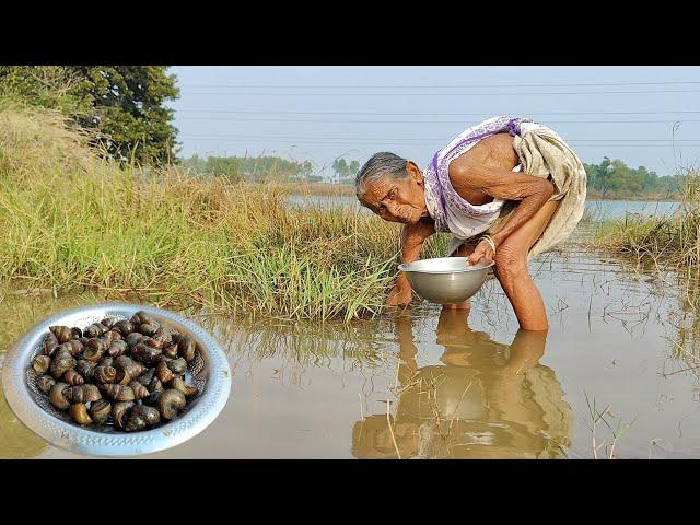 90 year old poor window Grandma cooking GUGULI CURRY with Gourd recipe & eating with rice|rural life