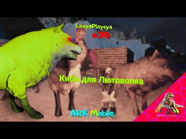 Как СДЕЛАТЬ КИБЛ и ПРИРУЧИТЬ ЛЮТОВОЛКА в ARK MOBILE