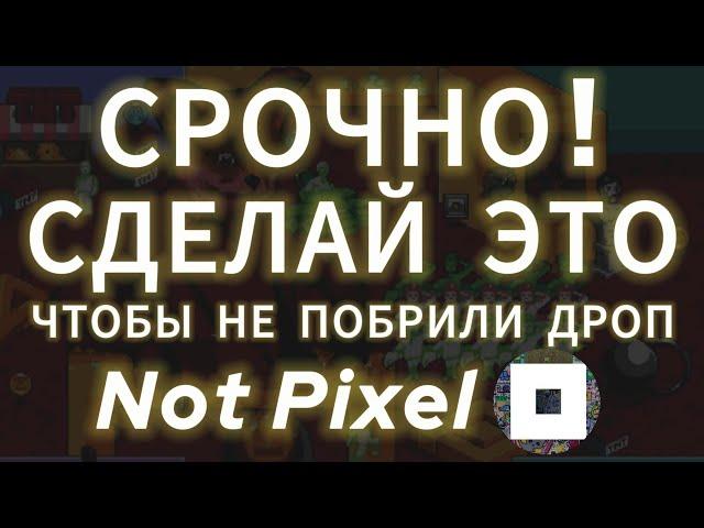 СРОЧНО СДЕЛАЙ ЭТО В NOT PIXEL! ПОБРИЛИ В НОТ ПИКСЕЛЬ ЧТО ДЕЛАТЬ? ЛИСТИНГ ДРОП AIRDROP ТОКЕНА БИРЖА