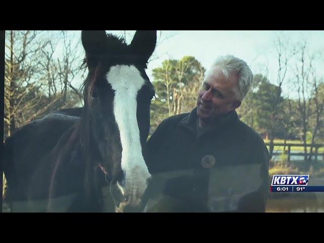 Former Texas A&M vet found guilty of animal cruelty