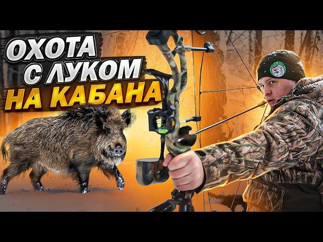 Охота с Луком на Кабана с подхода