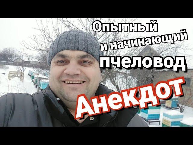 Анекдот и пожелания от пчеловода.