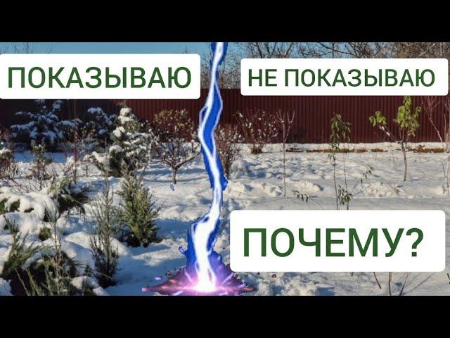 ПОЧЕМУ НЕ ПОКАЗЫВАЮ ВЕСЬ САД. 24.11.2024г. БЕЛАРУСЬ, ГОМЕЛЬСКАЯ ОБЛАСТЬ