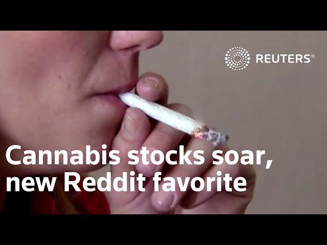 Cannabis stocks get high on Reddit-fueled rally