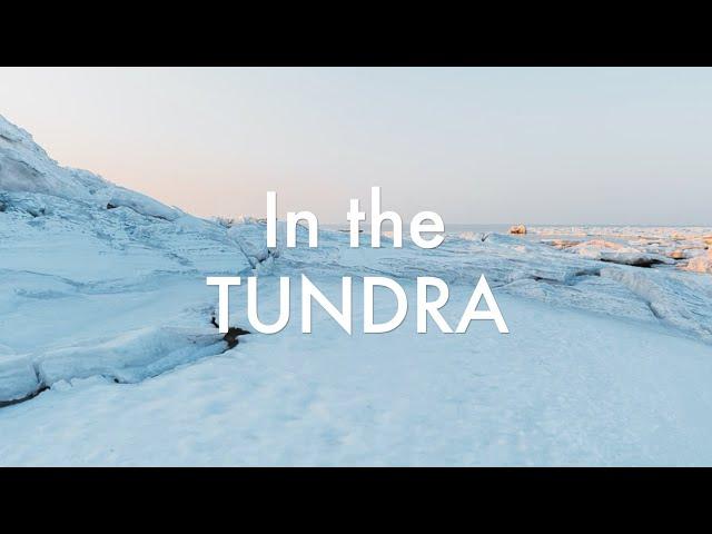 "In the Tundra" Song about the Arctic Tundra