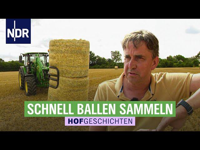 Furcht vor dem Regen: Strohballen schnell sichern | Hofgeschichten: Leben auf dem Land (296) | NDR