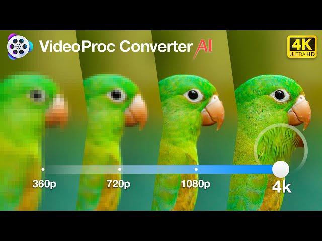 400% AI Video Upscale! Enjoy Your Footage at Crisp 4K Quality