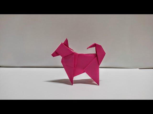 Origami-Hund – Schritt für Schritt