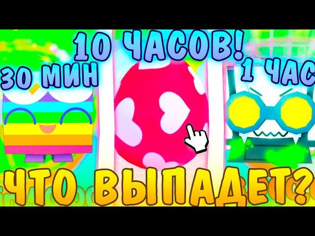 30 МИНУТ 1 ЧАС И 10 ЧАСОВ ИГРЫ НА НОВОМ АККАУНТЕ! В PETS GO ТЫ БУДЕШЬ В ШОКЕ.