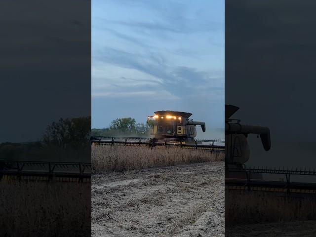 let the bean dust fly! #harvest #farm #farming #farmgirl #farmer #newholland