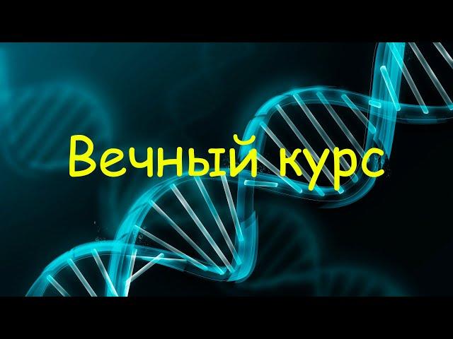 Вечный курс стероидов. Как курсить без мостов и побочек? Подробный разбор.