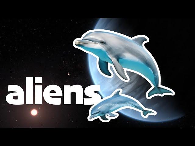 NASA Studied Dolphins to Understand Aliens