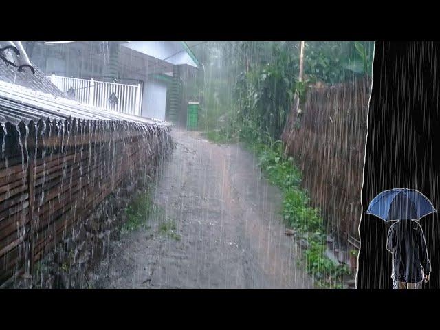 2 Hours Super Heavy Rain and Thunder in Remote Village | Fall Asleep Fast ASMR