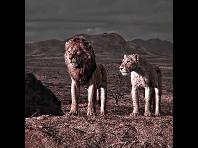 Simba lost his father  #simba #lion #mufasa #sad #shorts #fypシ゚ #edit #capcut #clips #ytshorts