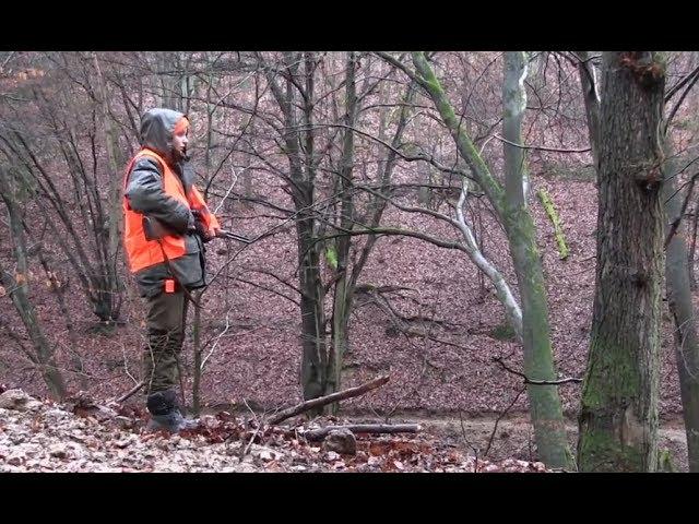 Т.Гисер. Красота охоты (T.Gieser. The Beauty of Hunting). 2016