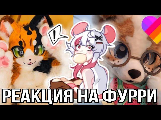 Реакция на Фурри из лайка!