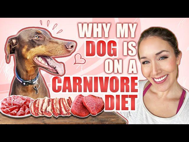 Why my dog is on a carnivore diet.