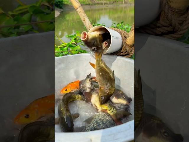 Really amazing plastic pipe fishing trap #fishingtrap #fishvideo #shorts