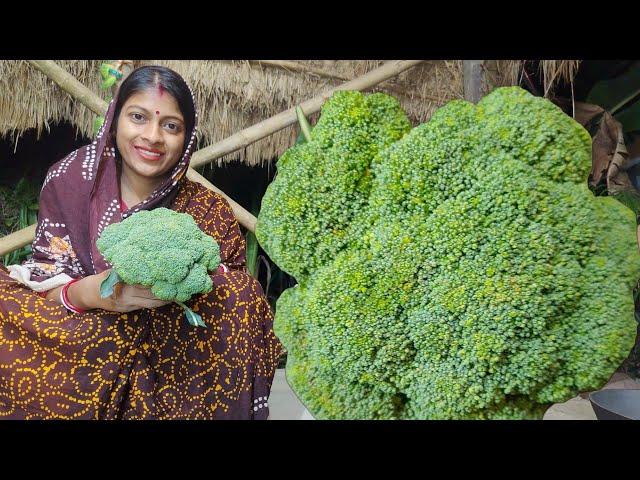 রুটি কিংবা ভাতের সঙ্গে ব্রকলির এই রেসিপিটি থাকলে আর কোনো কিছু লাগবে না।। broccoli recipe