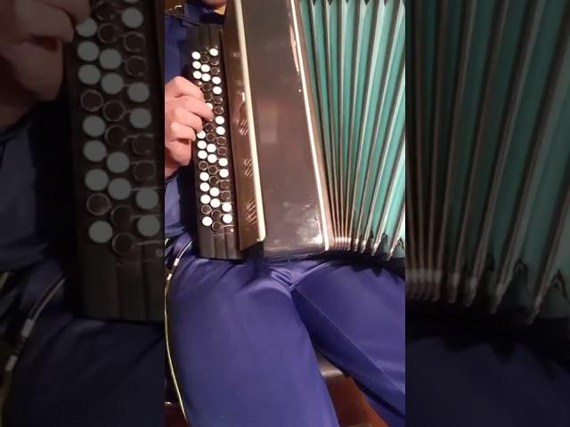 ACCORDION "MOLODECHNO 2" TEST ***SOLD***