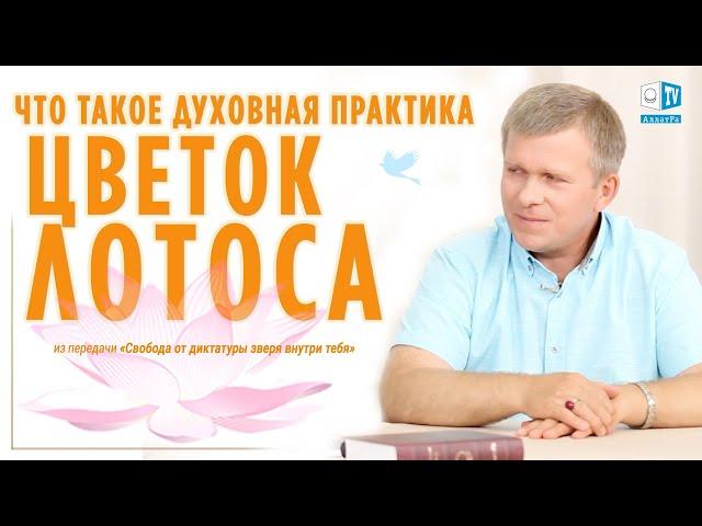 Что такое Цветок Лотоса